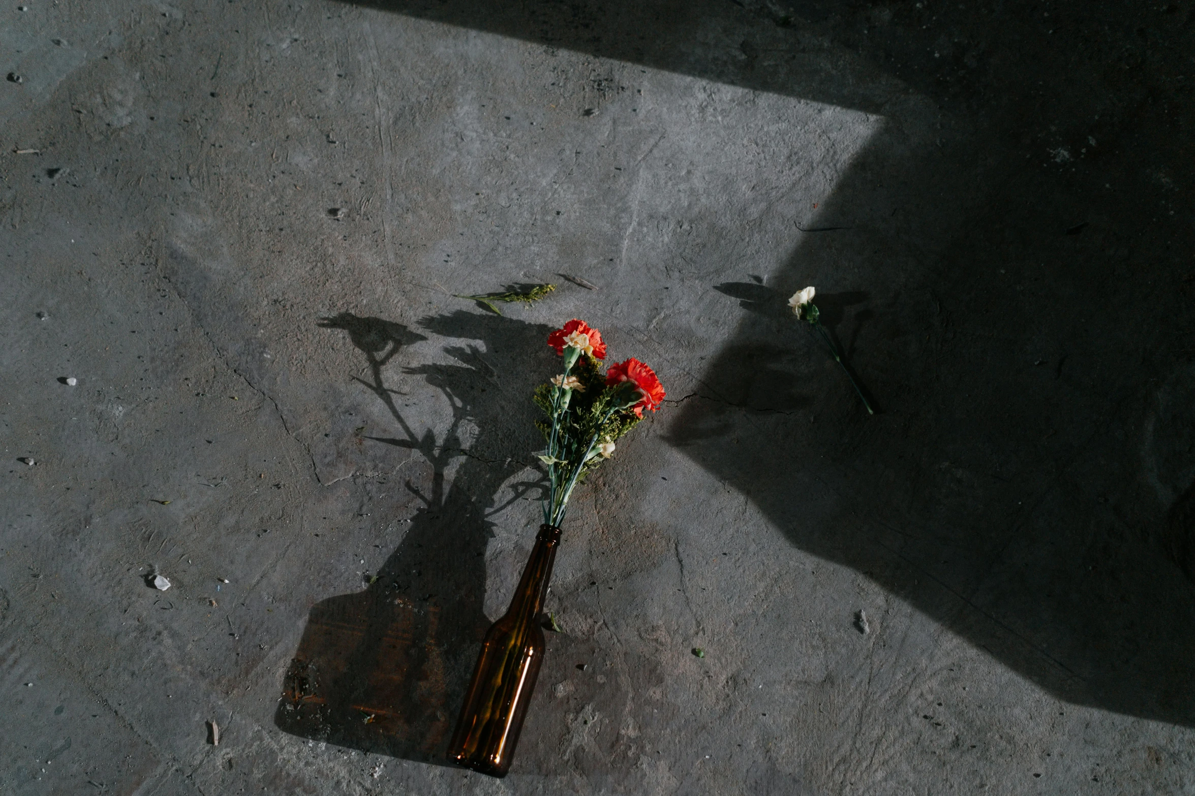 a bouquet of red flowers laying on the ground