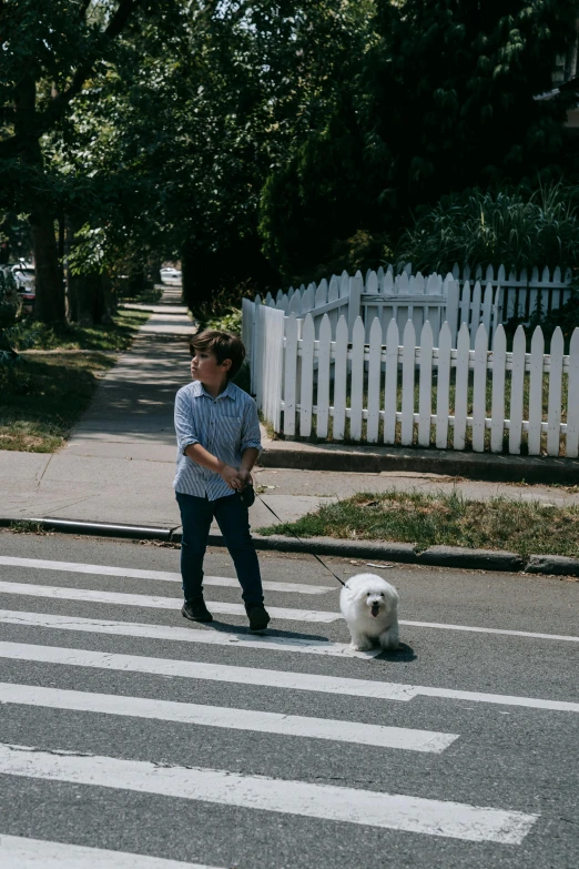 a person with a dog crosses the road