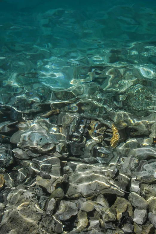 the stones in the water are clearly visible