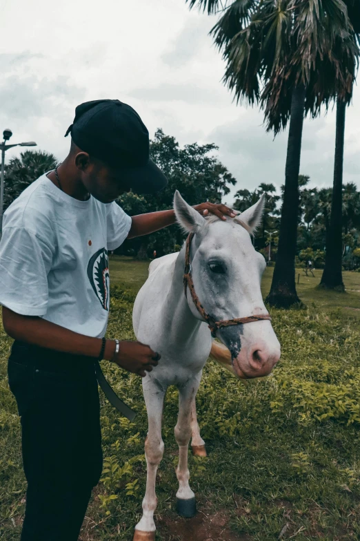 a man petting a white pony standing on a green grass covered field