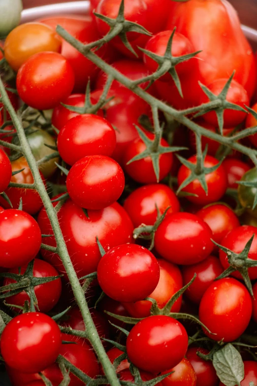 a bunch of red tomatoes sitting on top of a table