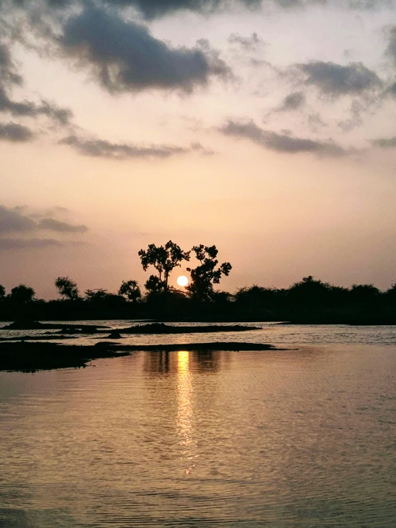 some trees and the sun setting in a large body of water