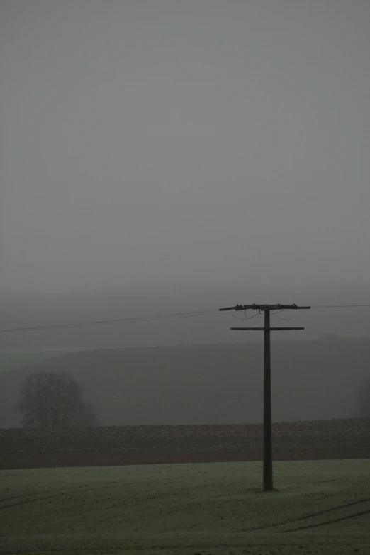 a telephone pole stands in the foreground as a field is far away