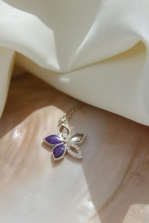 a close - up view of the back of a shell with a necklace on it