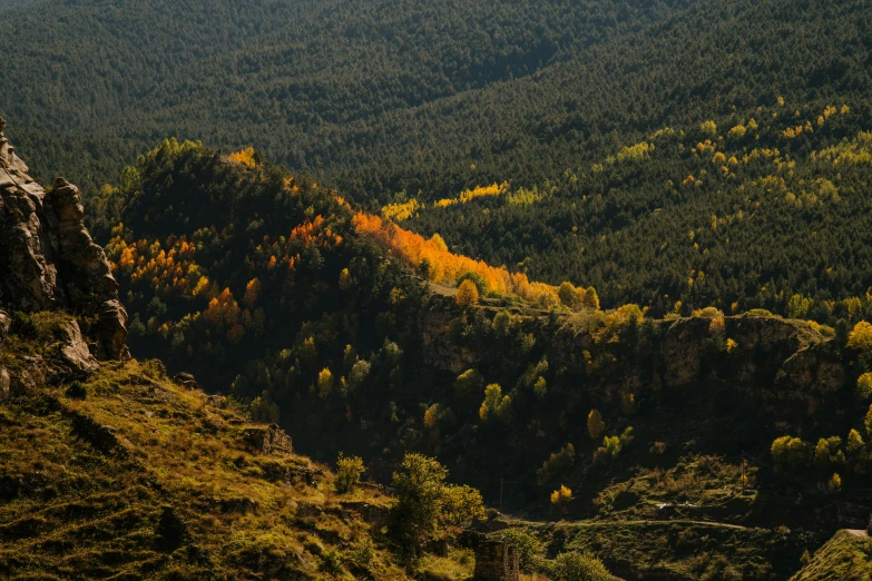 some trees and a hill with mountains in the background