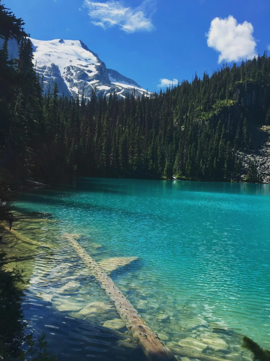 a lake in the mountains surrounded by trees