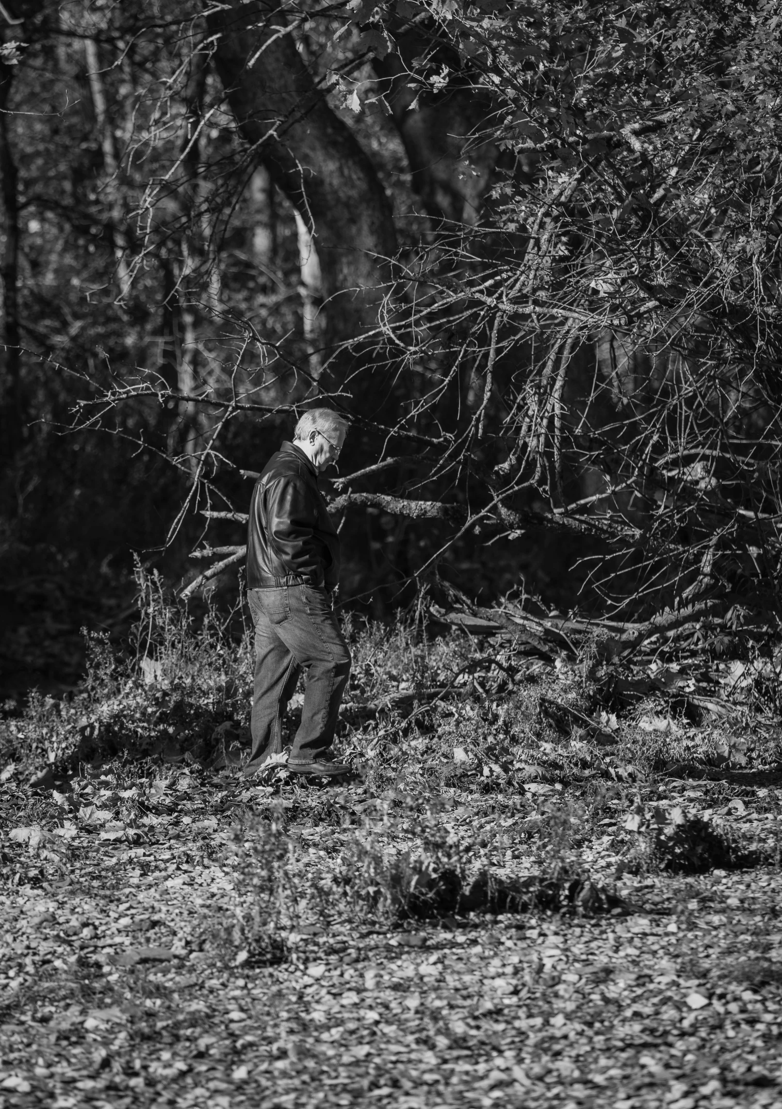 man in black walking through field near trees