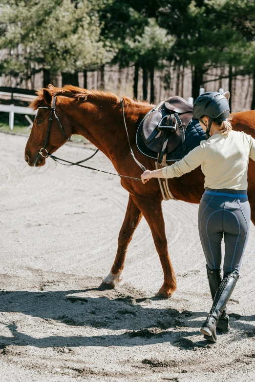 the person is leading the horse to her stable