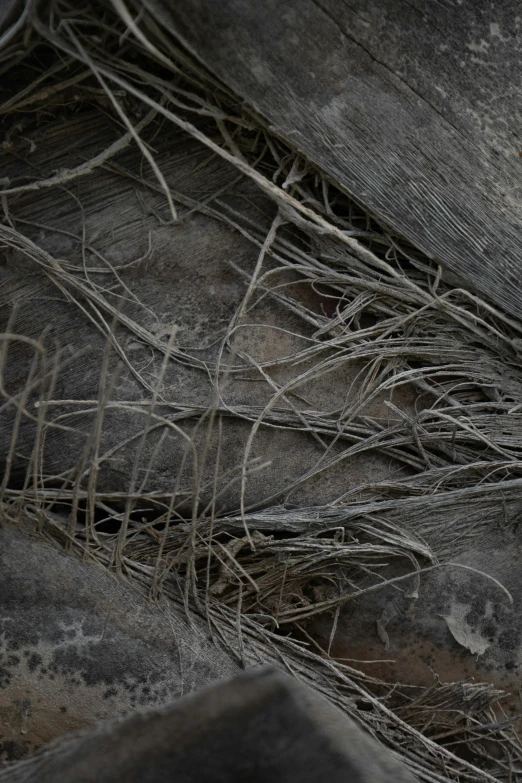 a wood structure with twigs and leaves on it