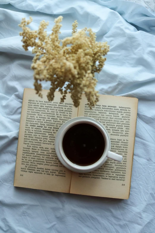 an open book, coffee cup, and yellow plant are sitting on a blue sheet