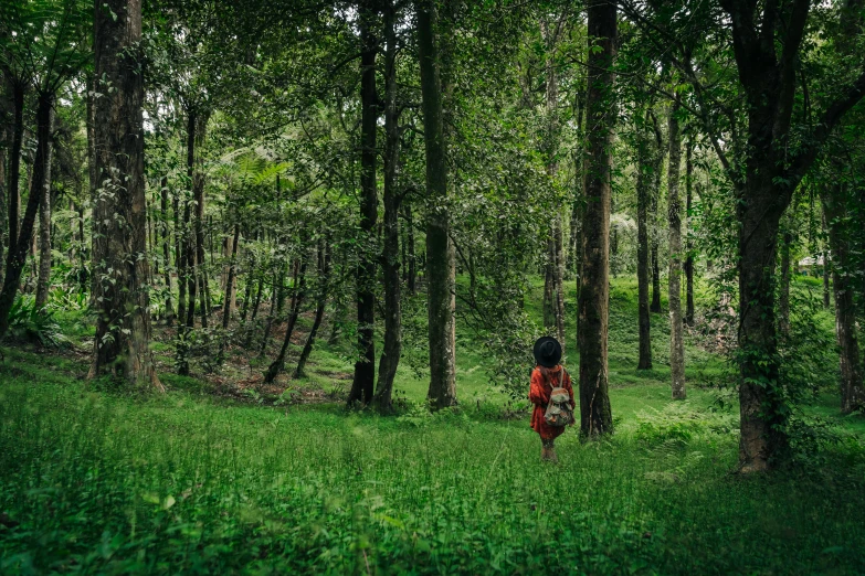 a woman walking alone through a forest