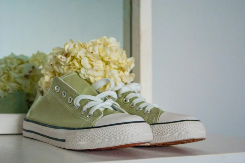 a flower in front of a green converse high top sneaker