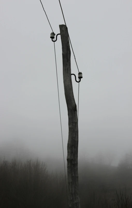 an old fence post holding two electric plugs