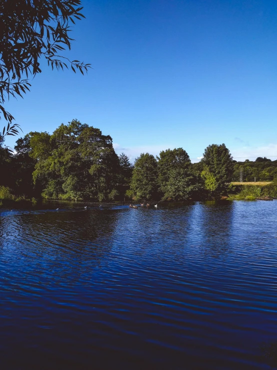 a large lake with trees around and clear skies