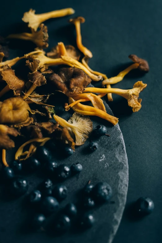 closeup view of blackberries, yellow flowers and small mushrooms