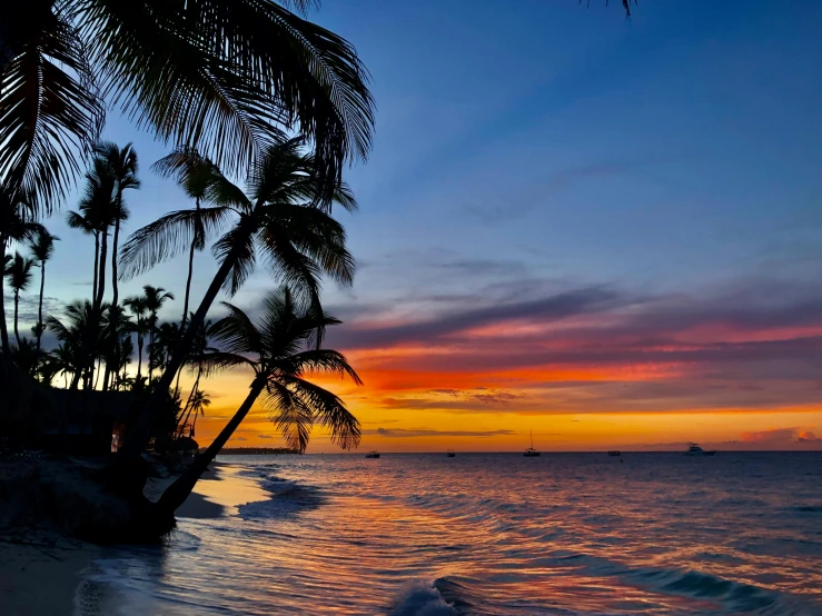 a tropical sunset behind palm trees on a beach