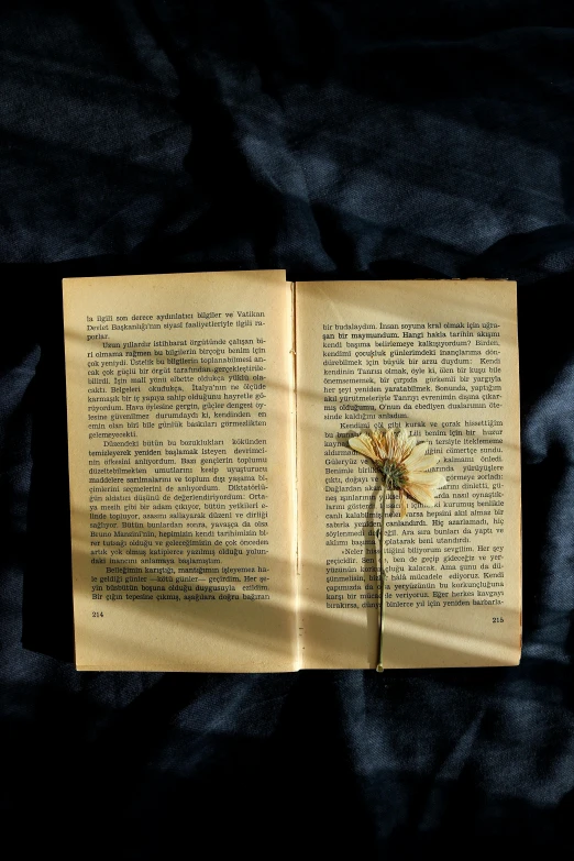 a book on a black fabric that has a flower in it