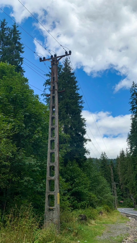 a tall wooden telephone tower sitting next to a forest