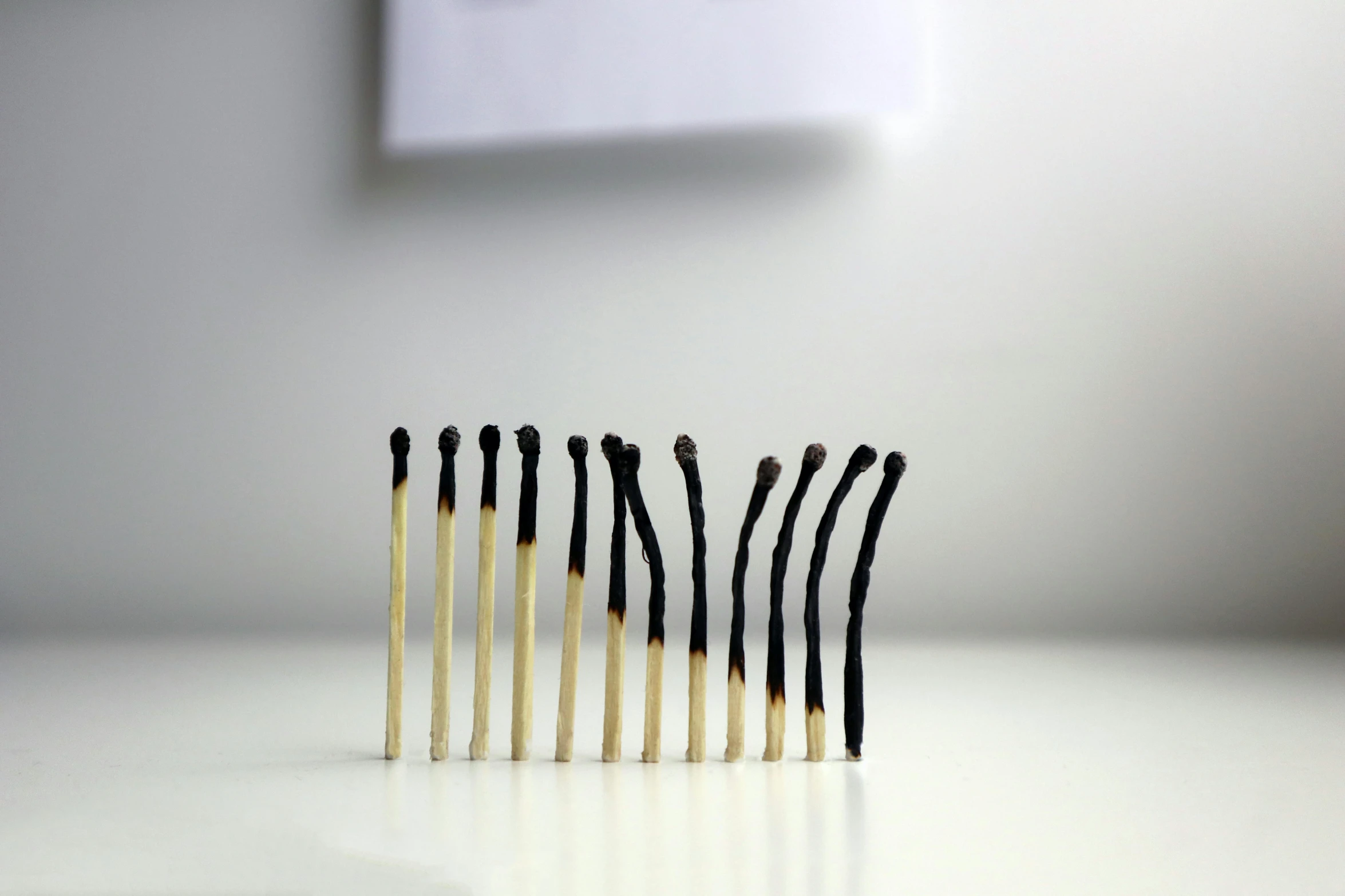 eight toothbrushes are lined up as a row