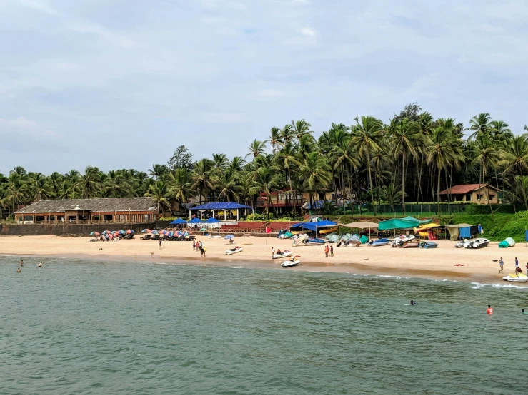 people are at the beach with lots of trees on the shore