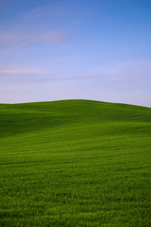 a very large grass field with a hill in the back ground