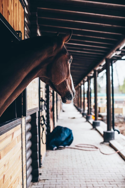 a horse that is in an enclosure with a brick floor