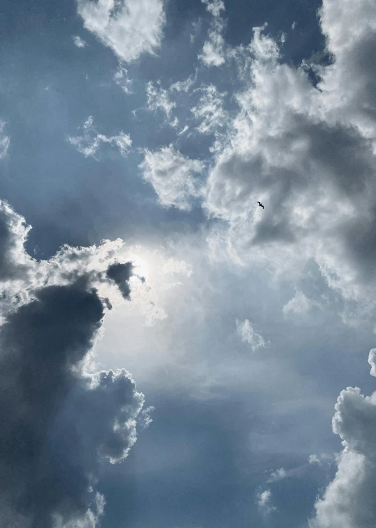 a bird flies through the blue cloudy sky