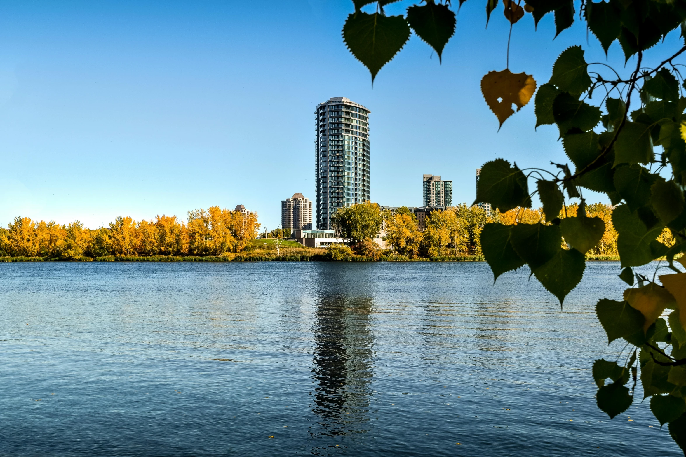 a lake with trees around it and some skyscrs