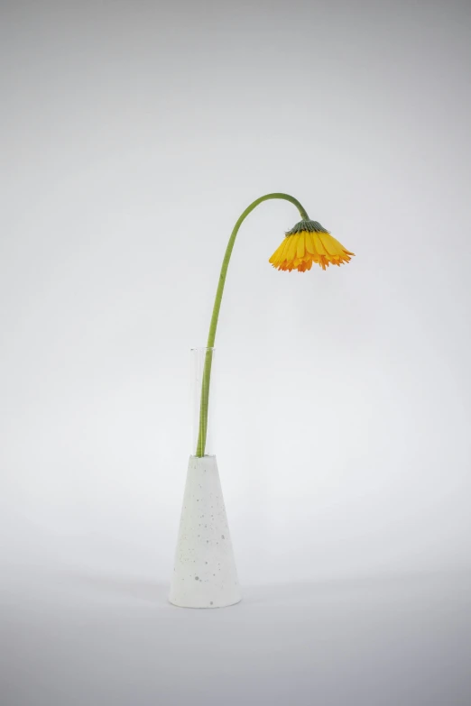 this is a flower in a vase, its stems are out