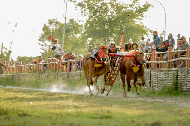 two horses running while people watch from the stands