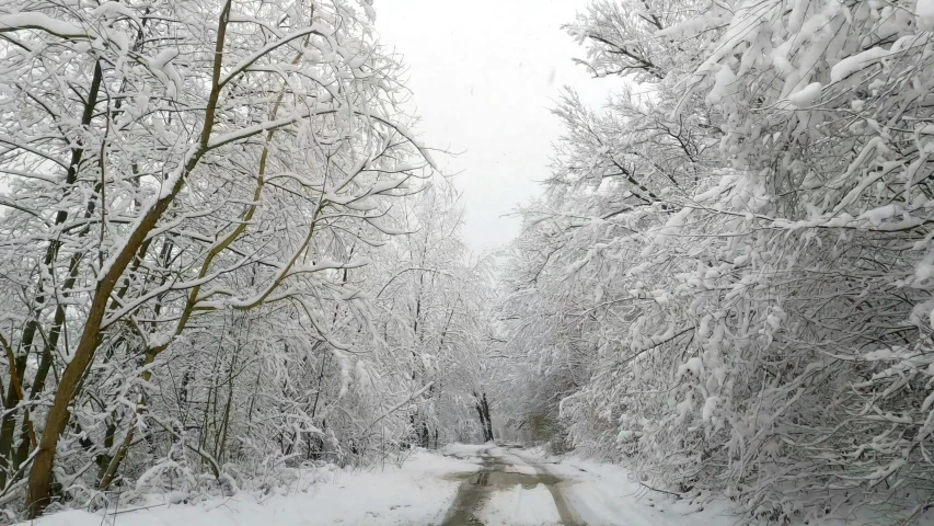 a road with lots of snow in it