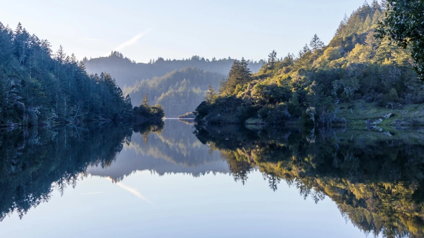 the trees are on both sides of the water