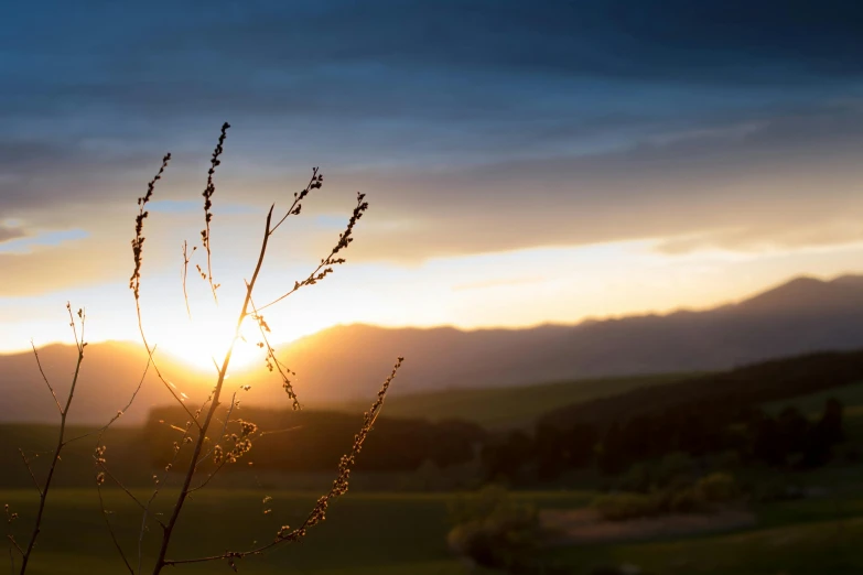 the sun setting in the sky over an open field