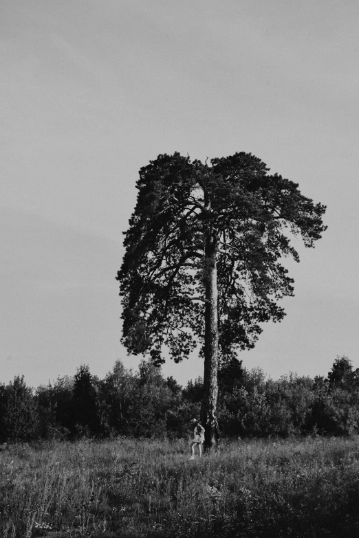 a large tree in an empty field with a woman under it