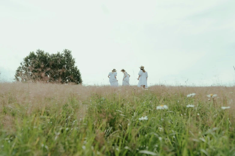 three people standing in the middle of a field