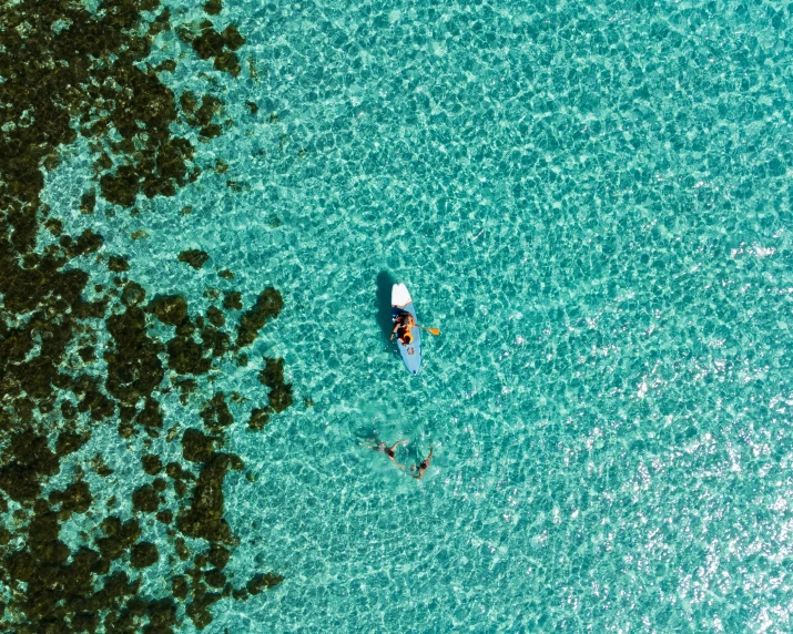 two people are canoeing on blue water near the shore