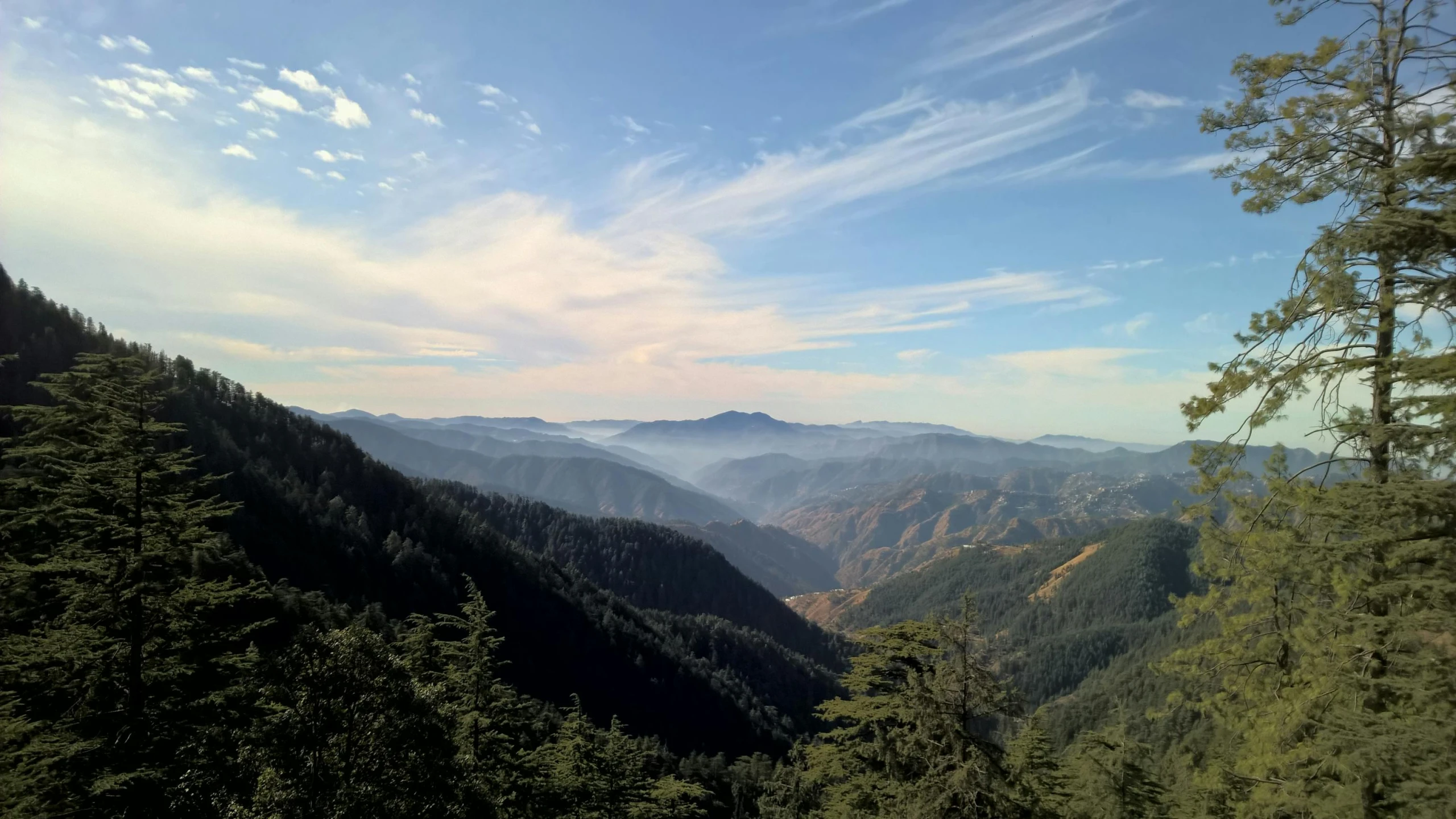 view from a high viewpoint of forest, mountains and clouds