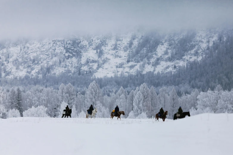 a group of people ride horses through the snow