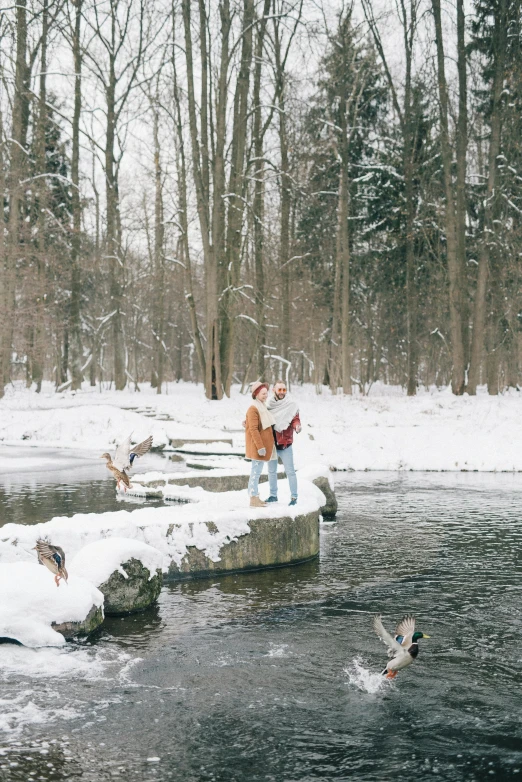 people standing on a bridge looking at ducks