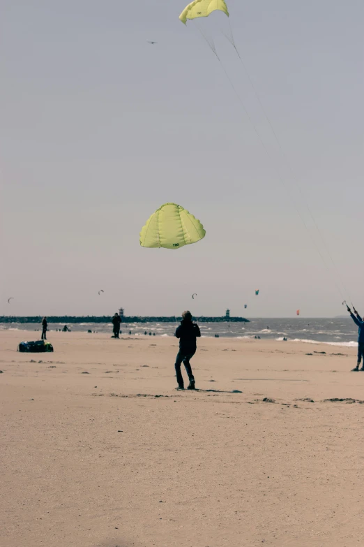 several people on the beach flying kites and having fun