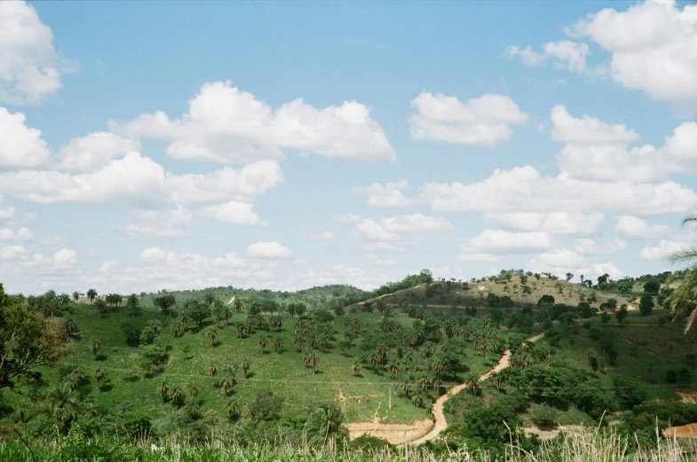 a landscape po with trees and mountains