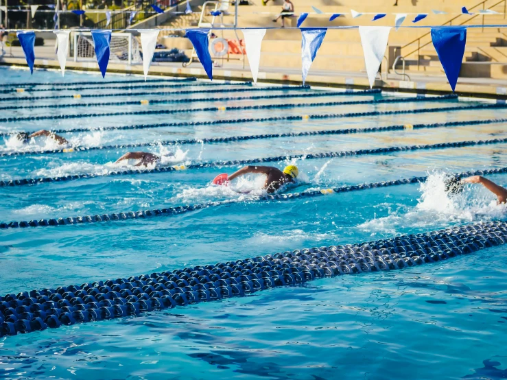 several swimmers and swimmers swimming in a pool