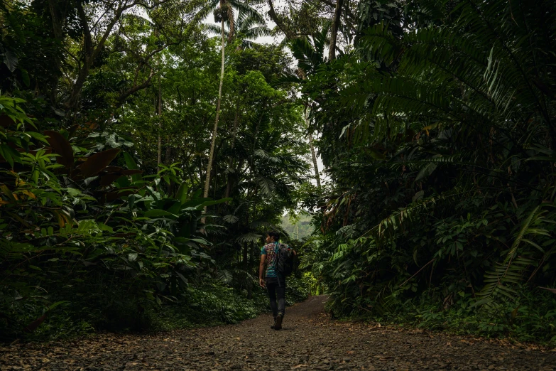 a man walking up a dirt path in the middle of the forest