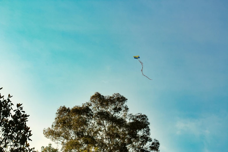 a kite in the blue sky above some trees
