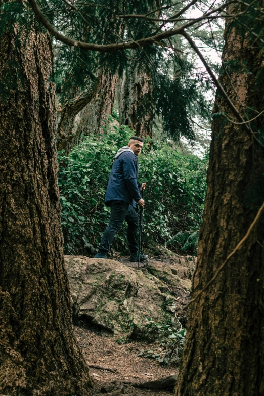 a man in blue jacket standing between two trees