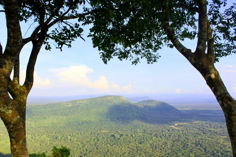 a mountain area with trees and hills in the distance