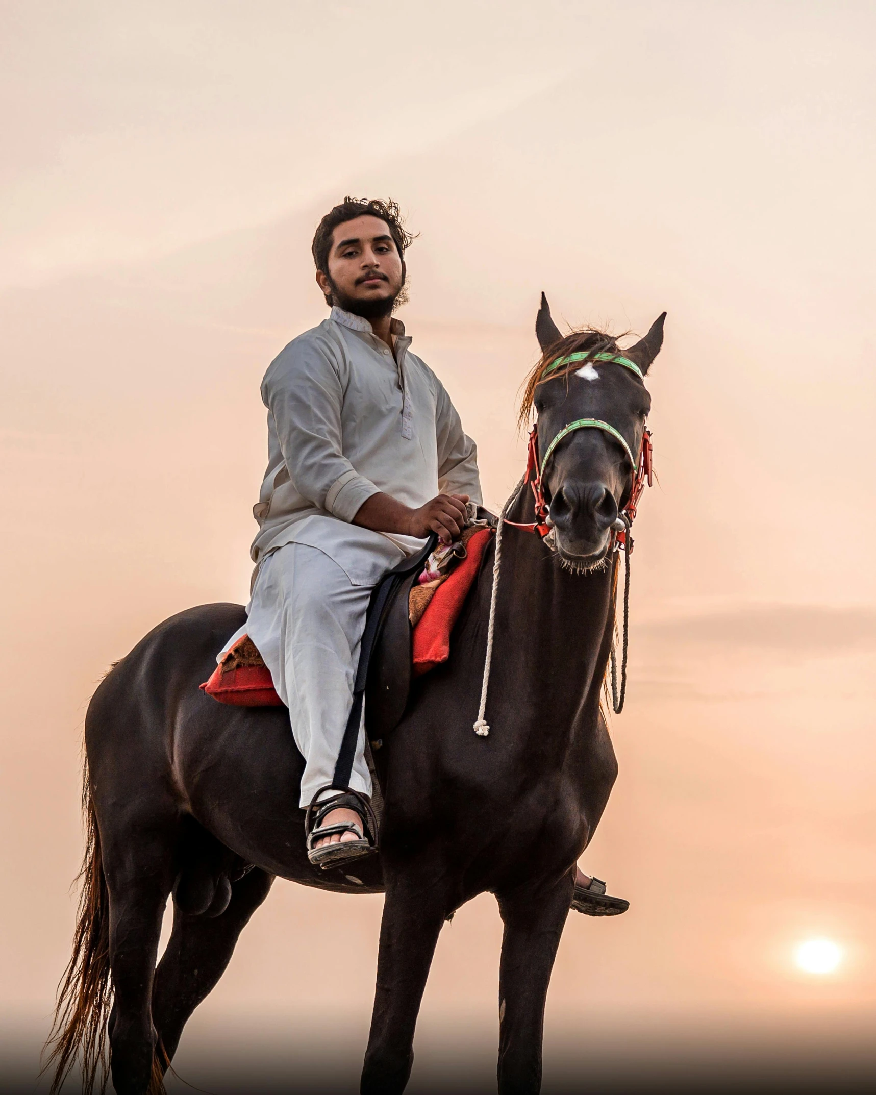 man sitting on a horse during the sunset