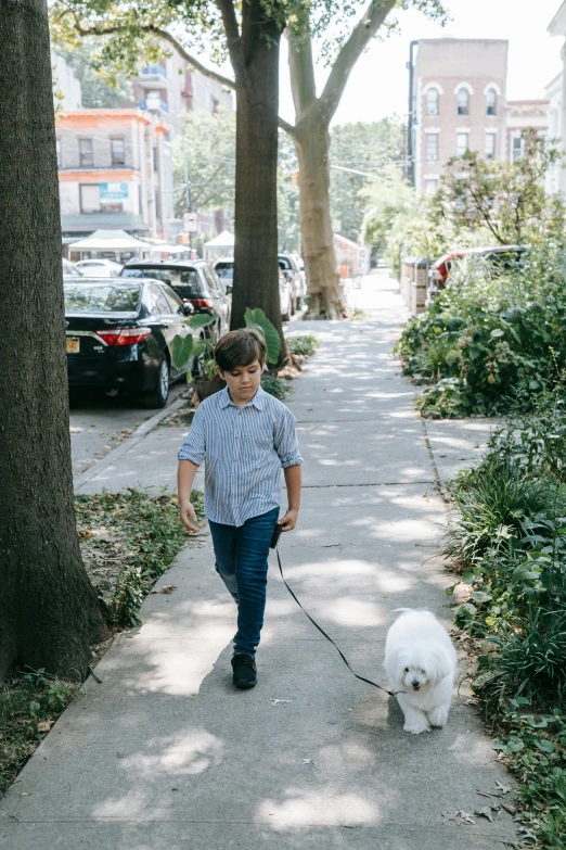 a  walks down the sidewalk with his dog