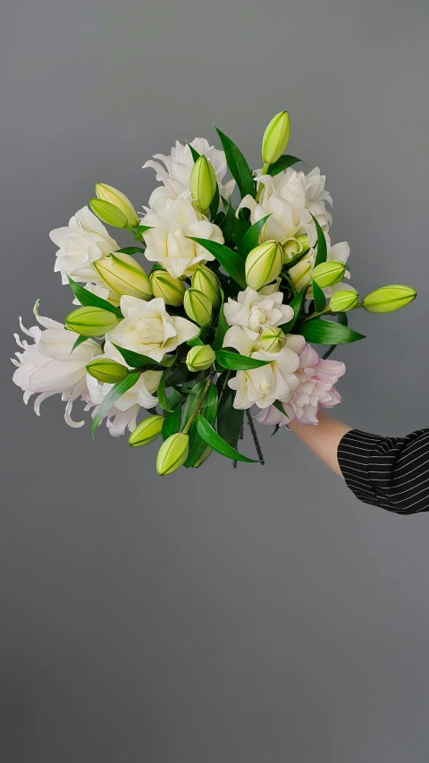 a hand holding a bouquet of white flowers on a gray background