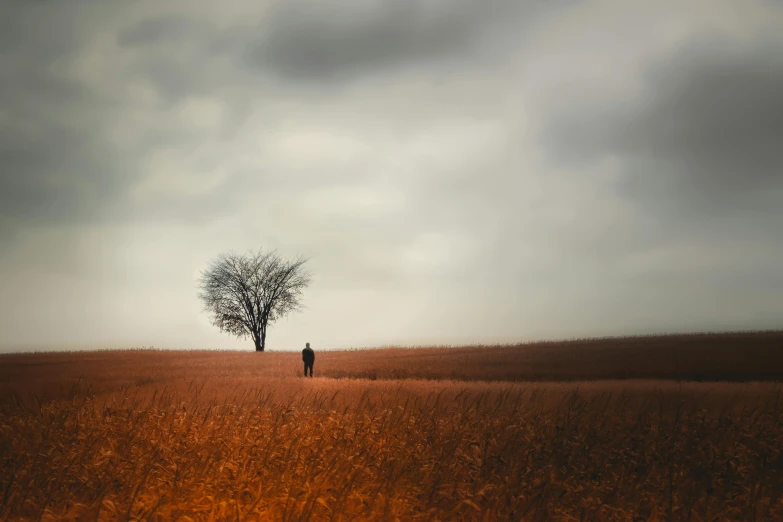 a man stands in the middle of a field while a tree is out in the distance